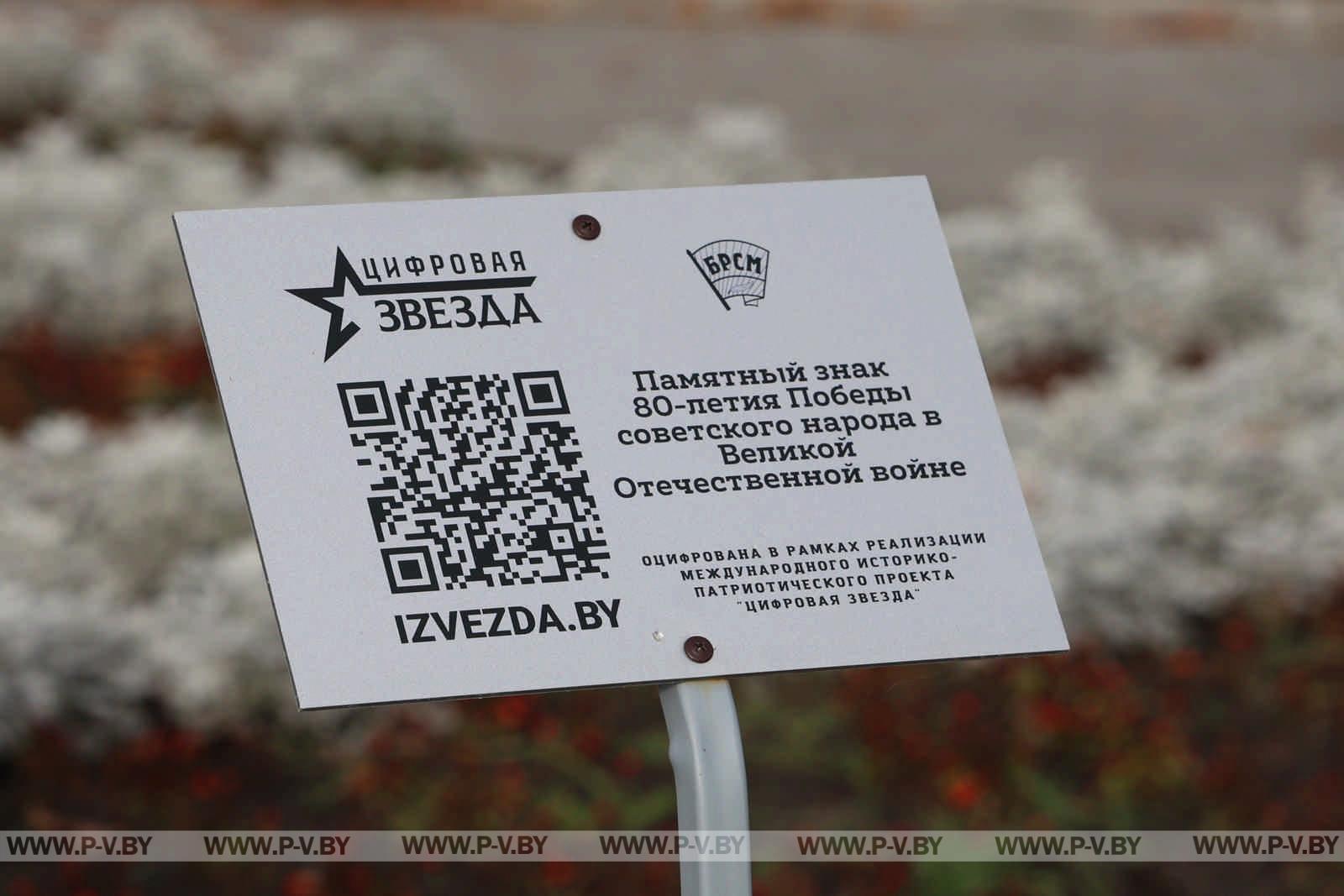 Полесская мозаика: как блогеры открывали для себя Пинщину