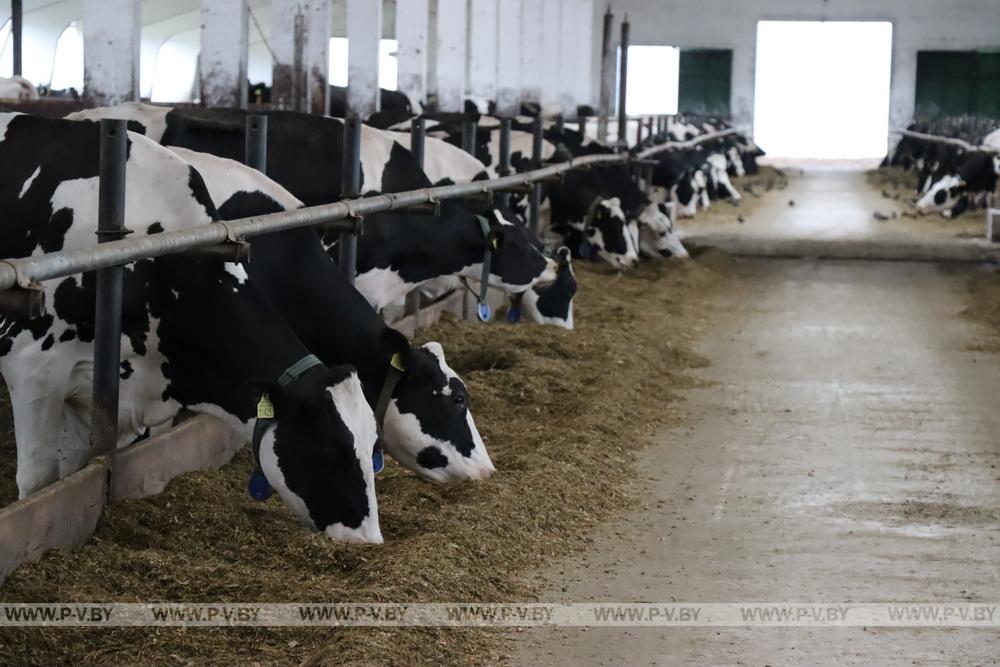 В Пинском районе подводят итоги аграрного сезона-2025: цифры и факты