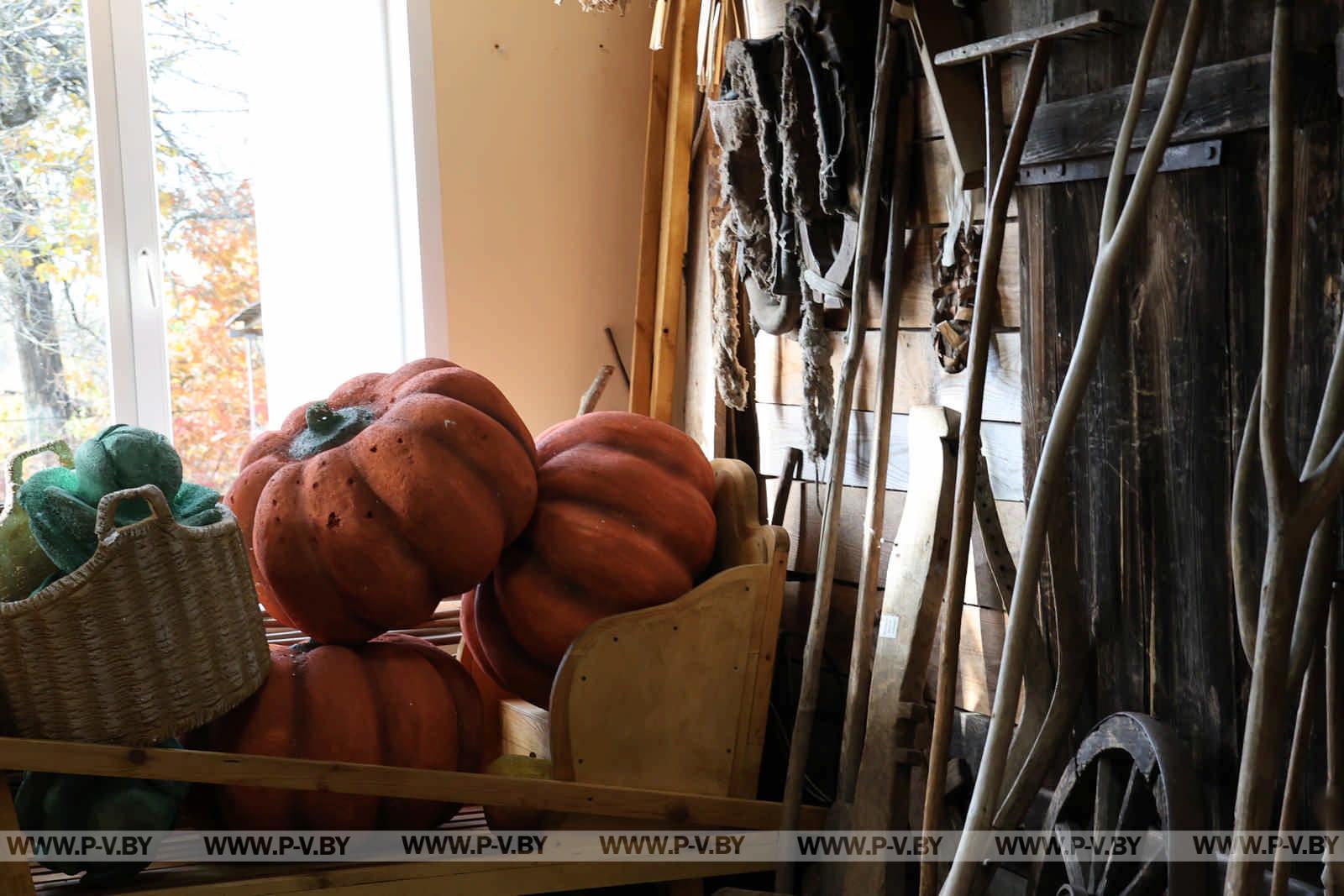 Полесская мозаика: как блогеры открывали для себя Пинщину