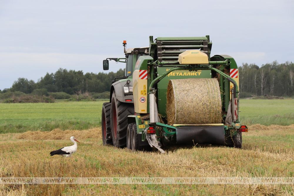 В Пинском районе подводят итоги аграрного сезона-2025: цифры и факты