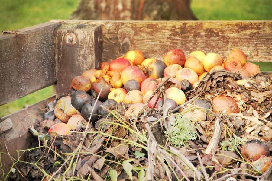 Можно ли класть яблоки в компост?