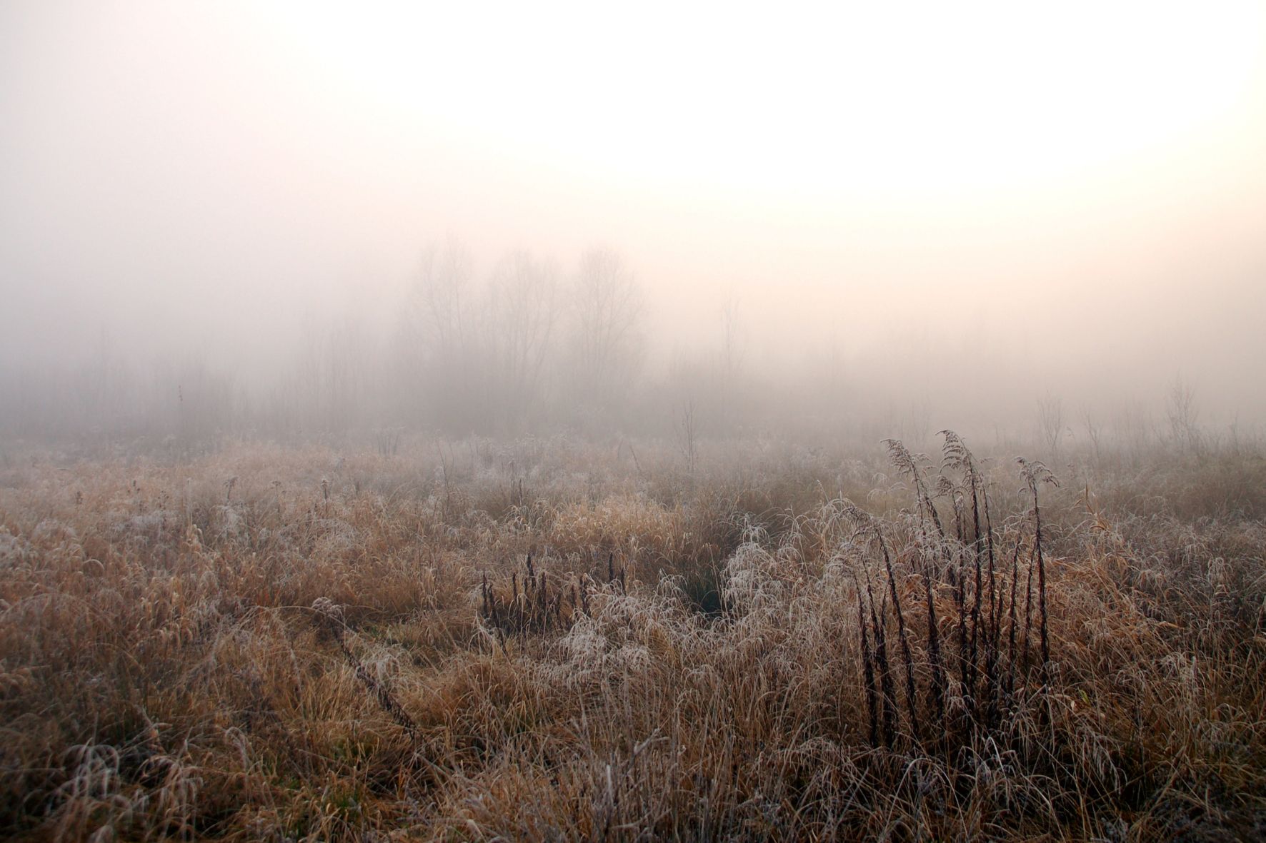 Народны каляндар: у лістападзе гола ў садзе