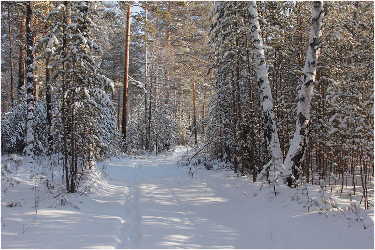 Народны каляндар: мароз у снежні і снег вышэй хаты – будзе год тады багаты