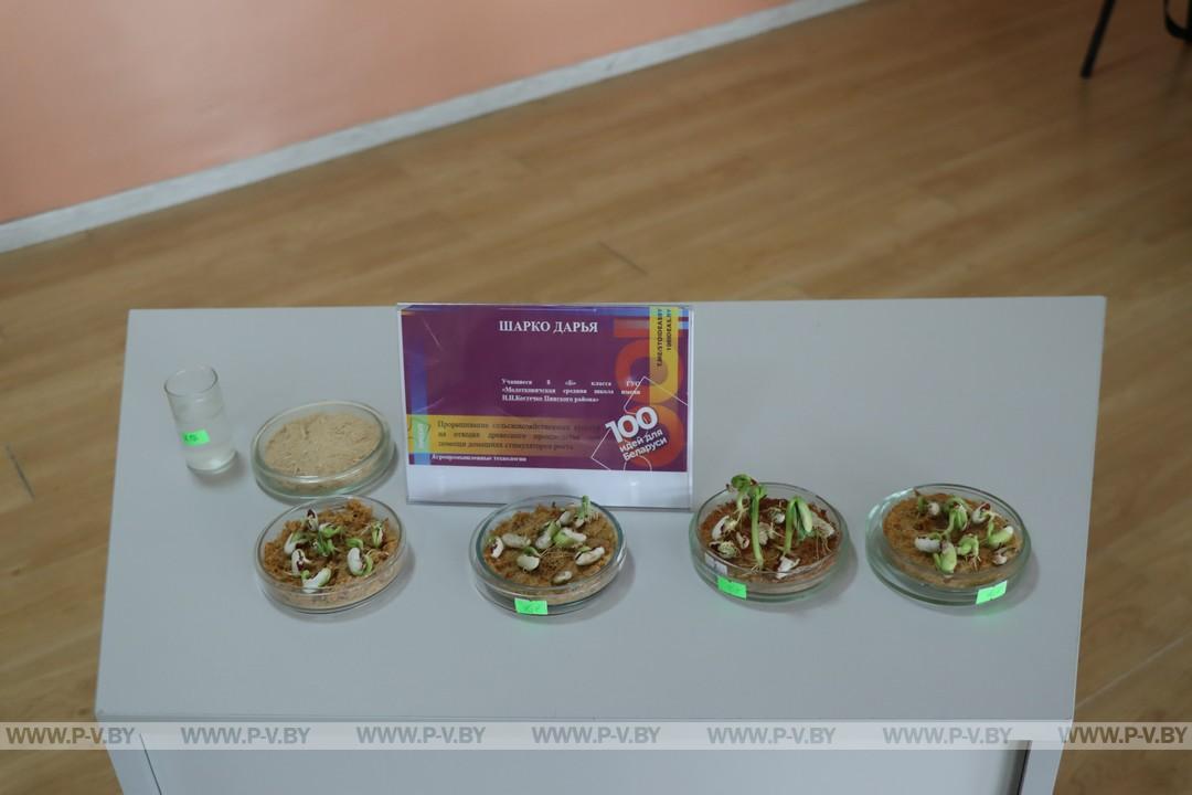 «100 идей для Беларуси» от юных исследователей Пинского района