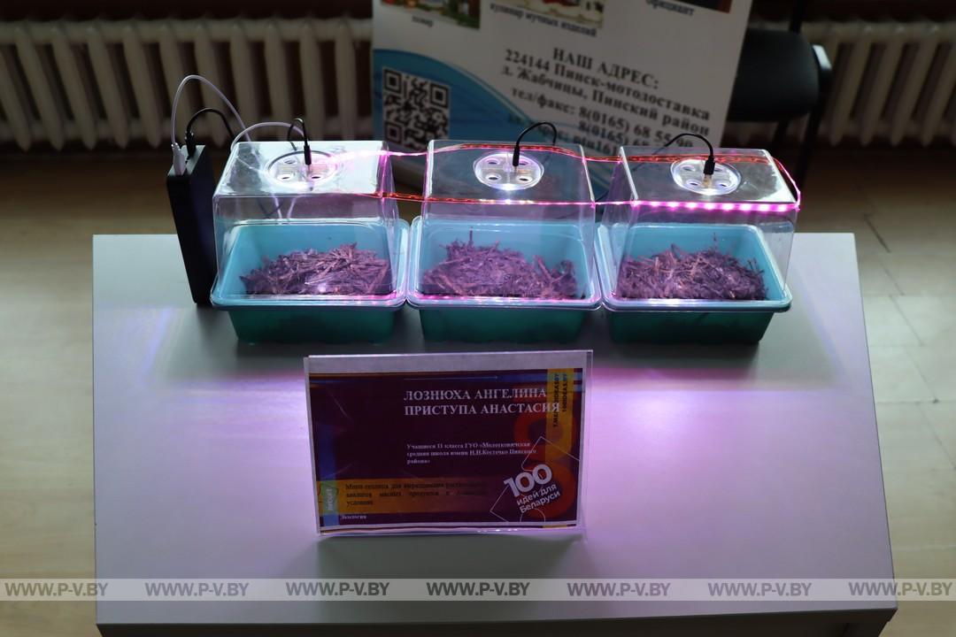 «100 идей для Беларуси» от юных исследователей Пинского района