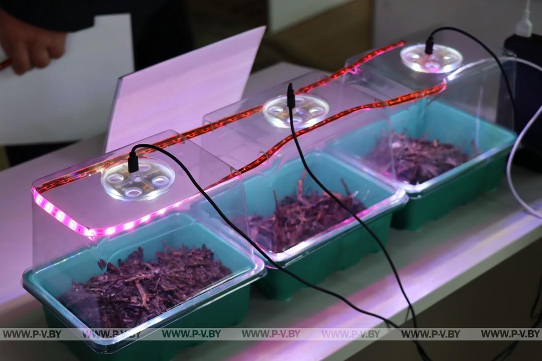 «100 идей для Беларуси» от юных исследователей Пинского района