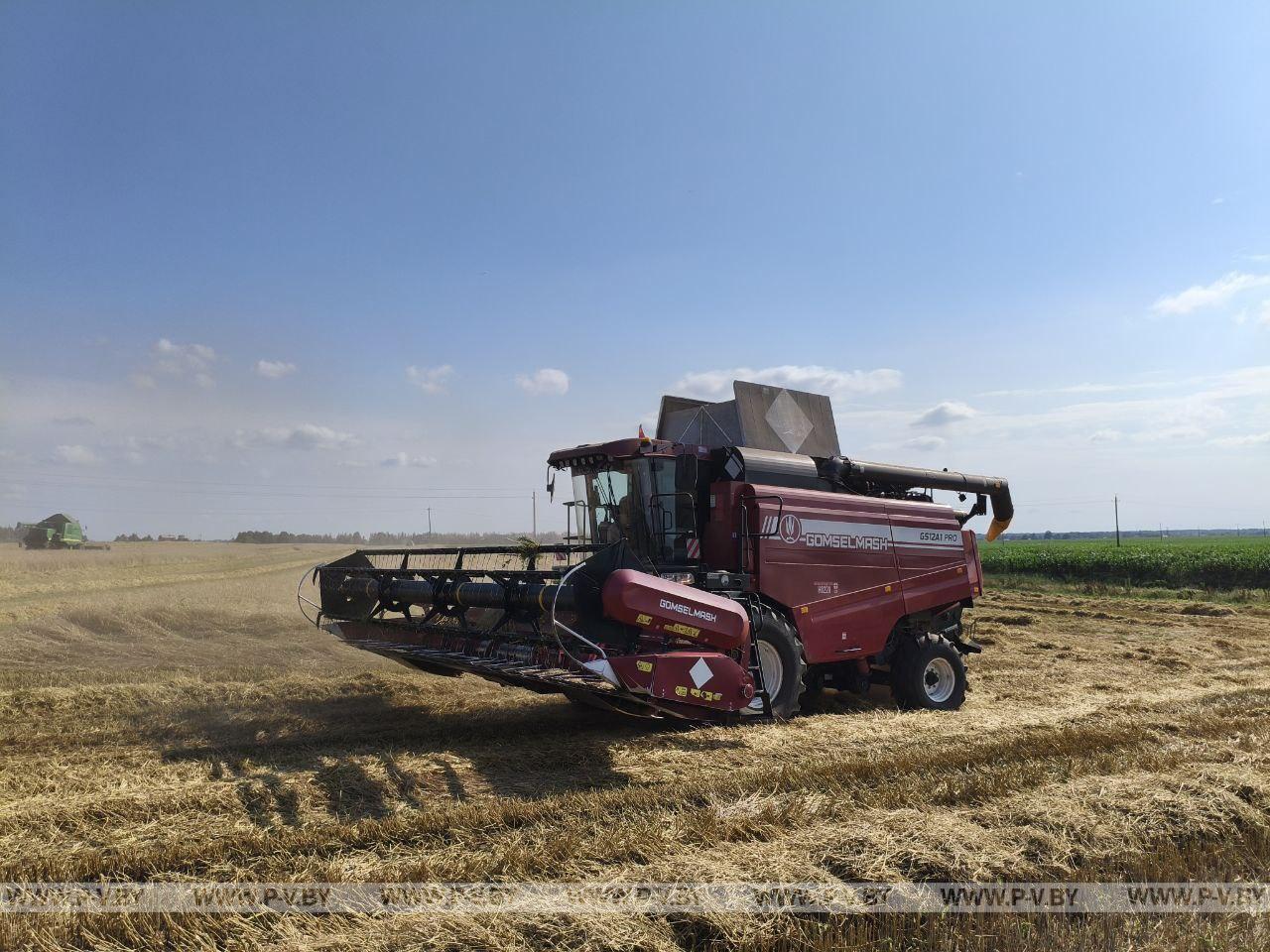 На поддержку АПК в бюджете Беларуси на 2026 год заложено 4,4 млрд рублей