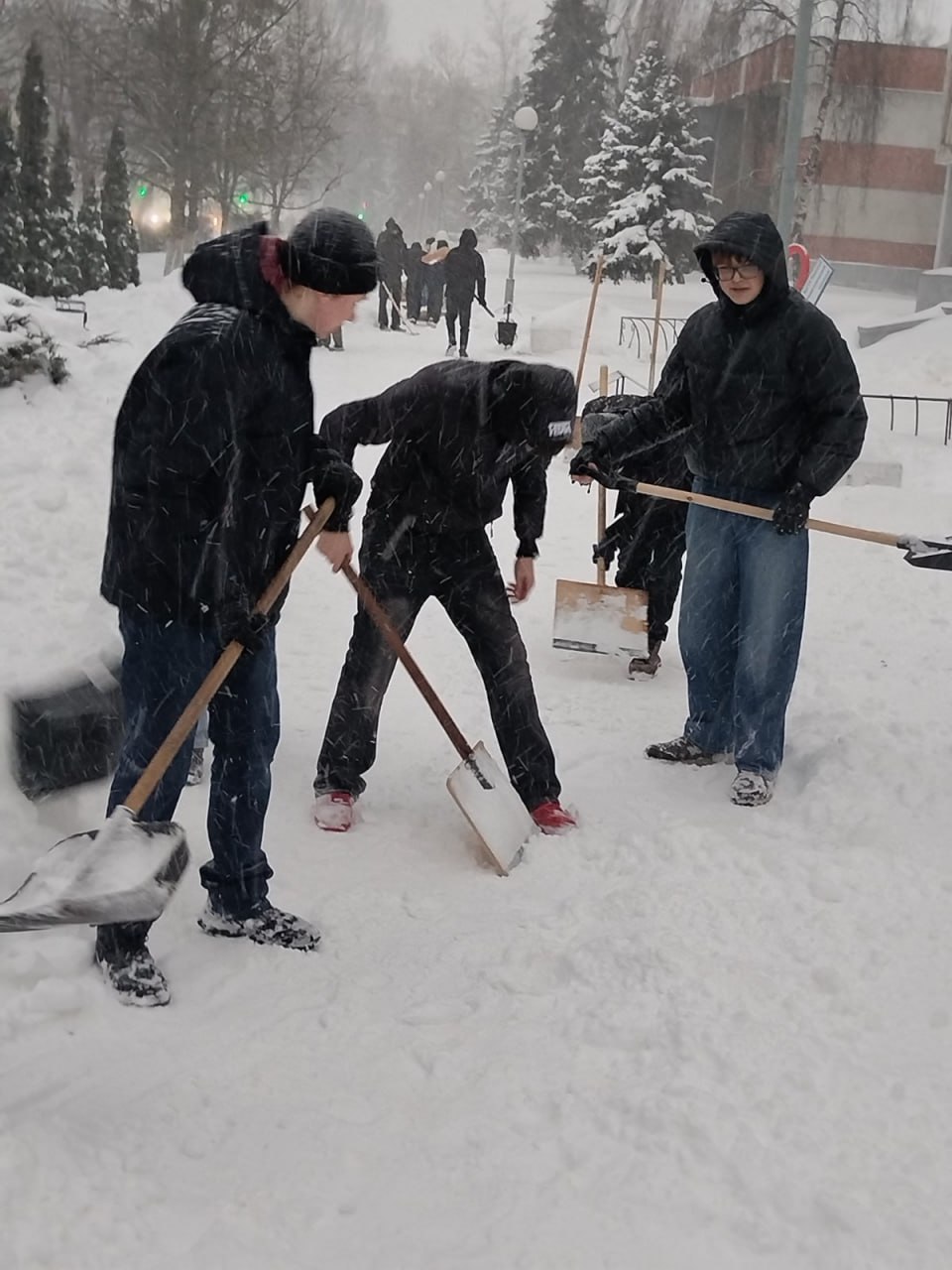 Студенты колледжа проявили доброту, расчищая снег для пожилых граждан