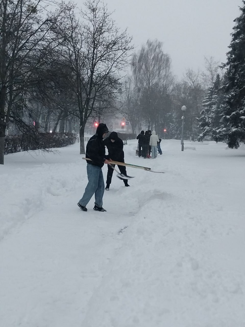 Студенты колледжа проявили доброту, расчищая снег для пожилых граждан