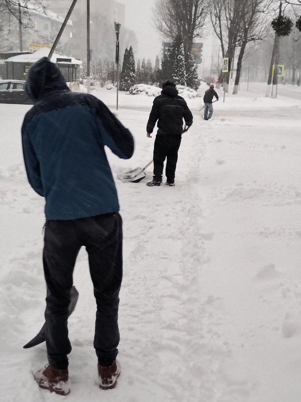 Студенты колледжа проявили доброту, расчищая снег для пожилых граждан