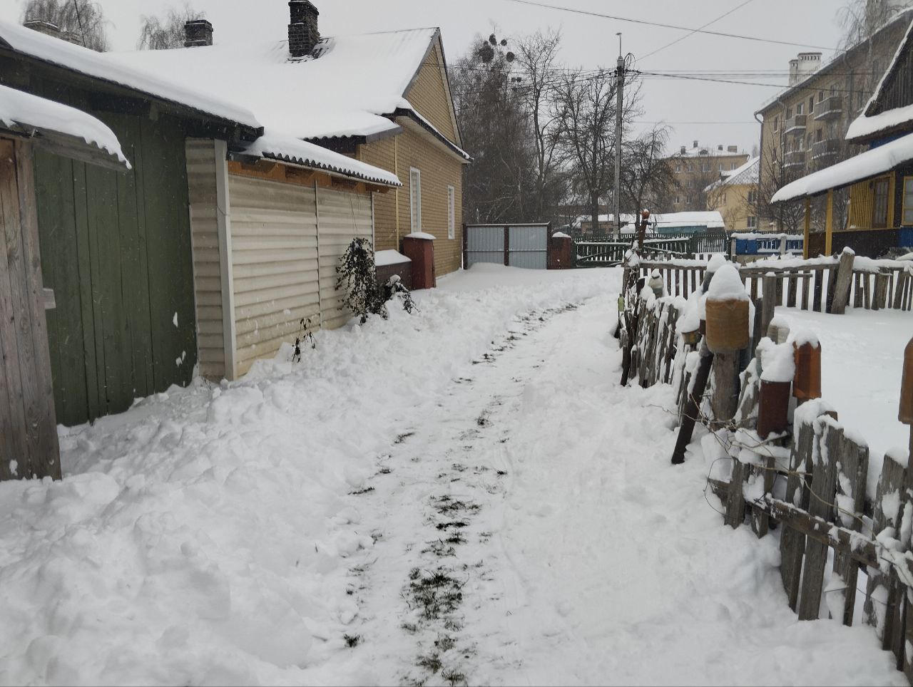 Студенты колледжа проявили доброту, расчищая снег для пожилых граждан