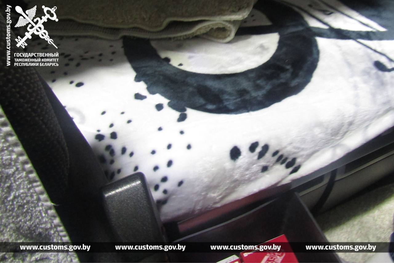 Брестские таможенники в кабине грузовика обнаружили спрятанные от контроля 87 микрокомпьютеров