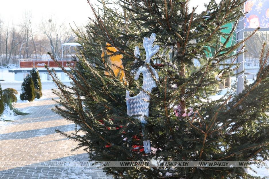 Каким блогеры увидели зимний Брест