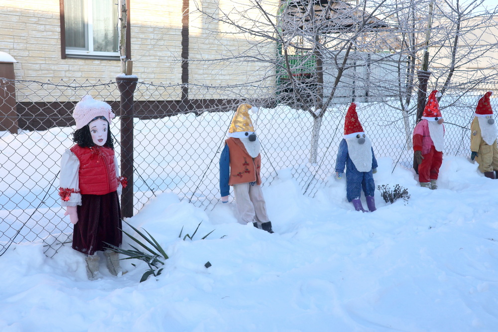 Жители агрогородка Сошно создали в своем дворе сказку и выхаживают аиста