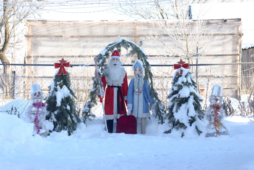 Жители агрогородка Сошно создали в своем дворе сказку и выхаживают аиста