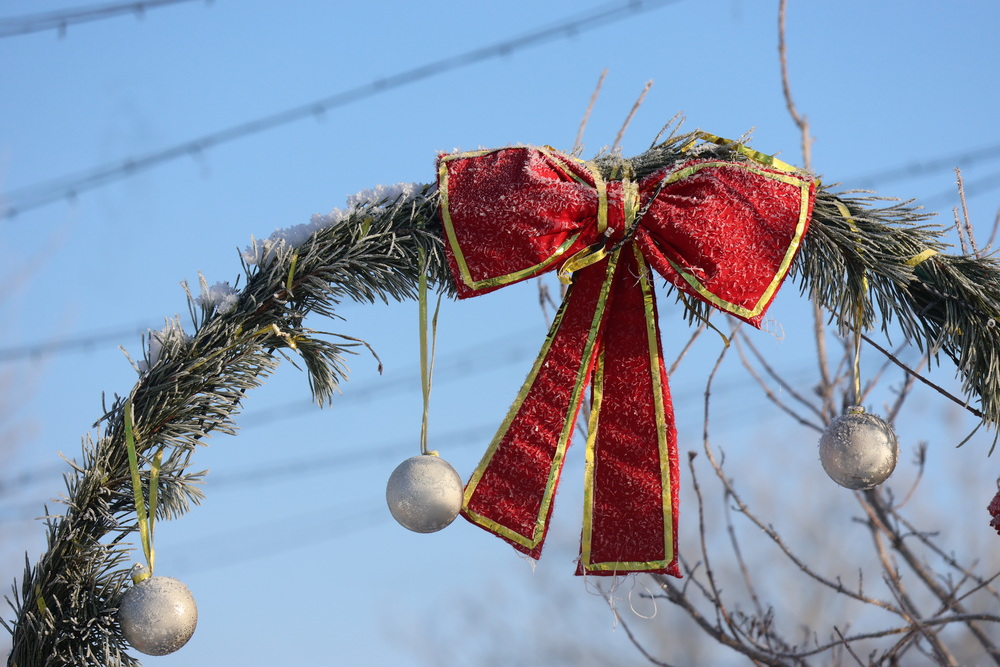 Жители агрогородка Сошно создали в своем дворе сказку и выхаживают аиста
