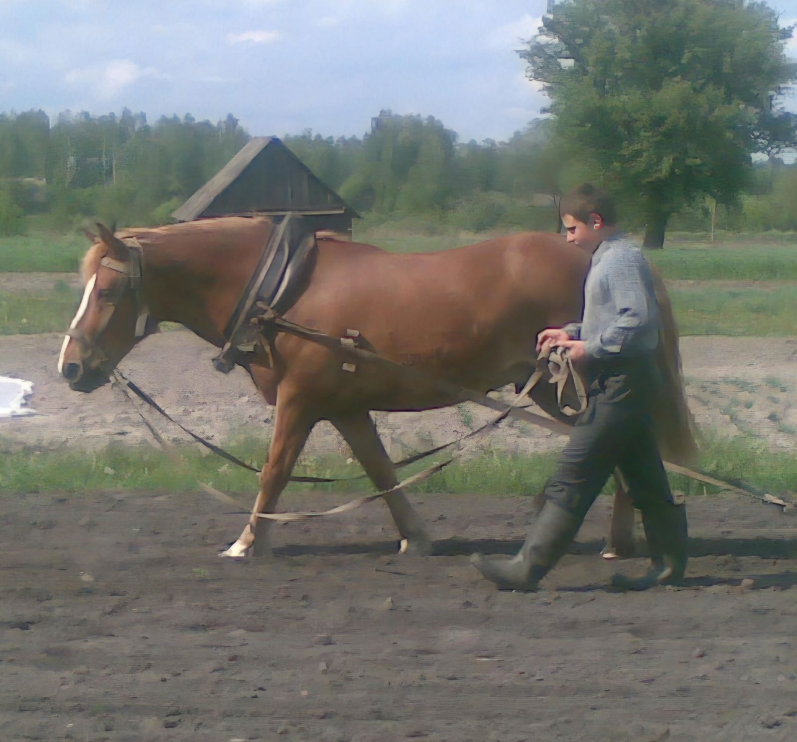Школьник из Пинского района в числе победителей конкурса БГАТУ