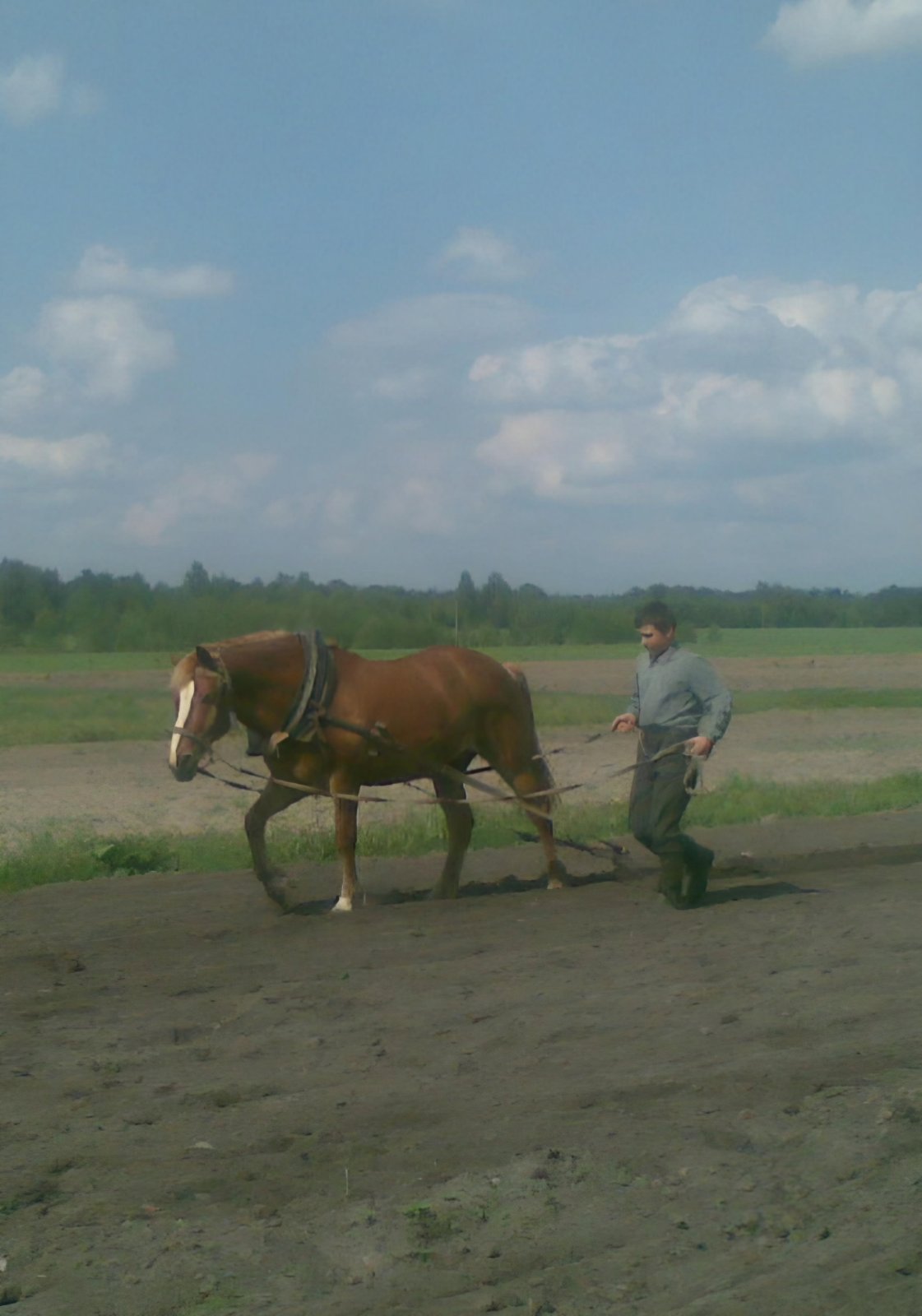 Школьник из Пинского района в числе победителей конкурса БГАТУ