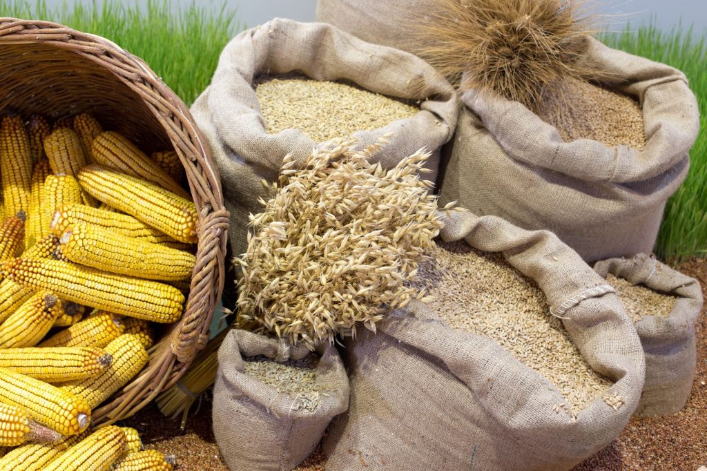 Порядок получения справки для реализации сельхозпродукции физическими лицами