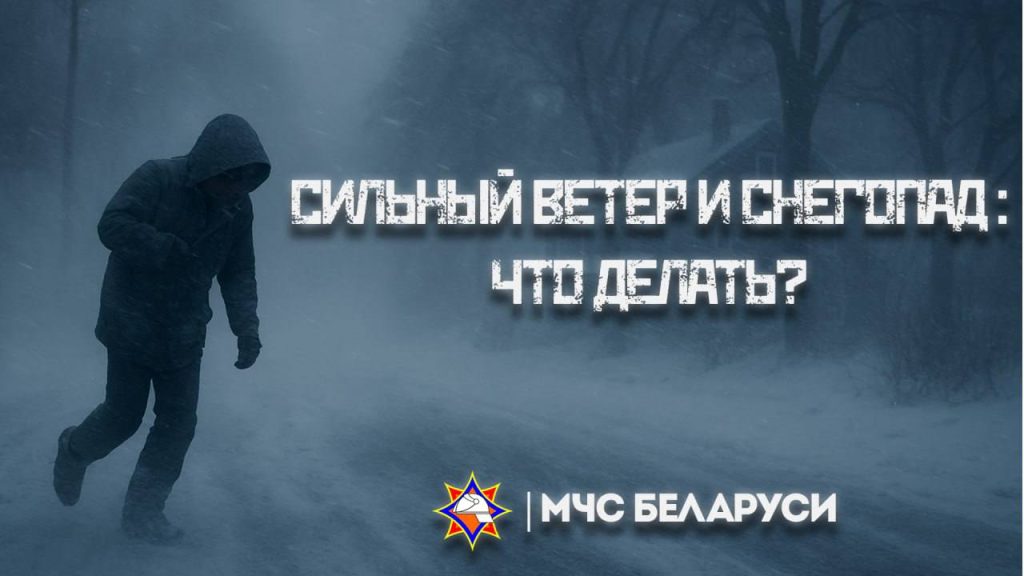 Снег, метель и сильный ветер – что делать? Снег, метель и сильный ветер – что делать?
