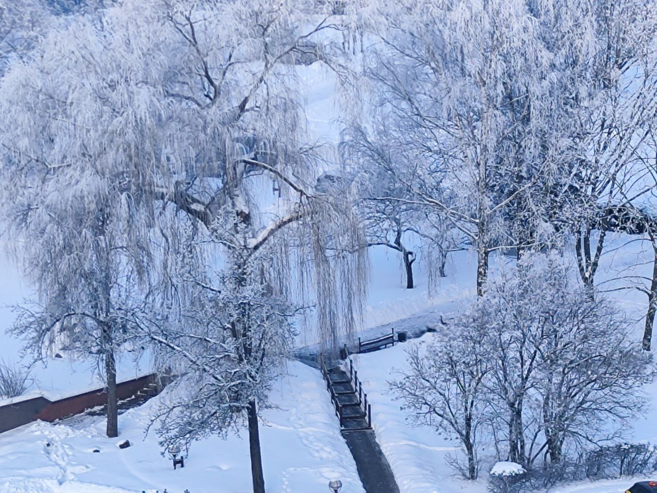 Беларусь готовится к крещенским купаниям: синоптики обещают морозы до −20 °С