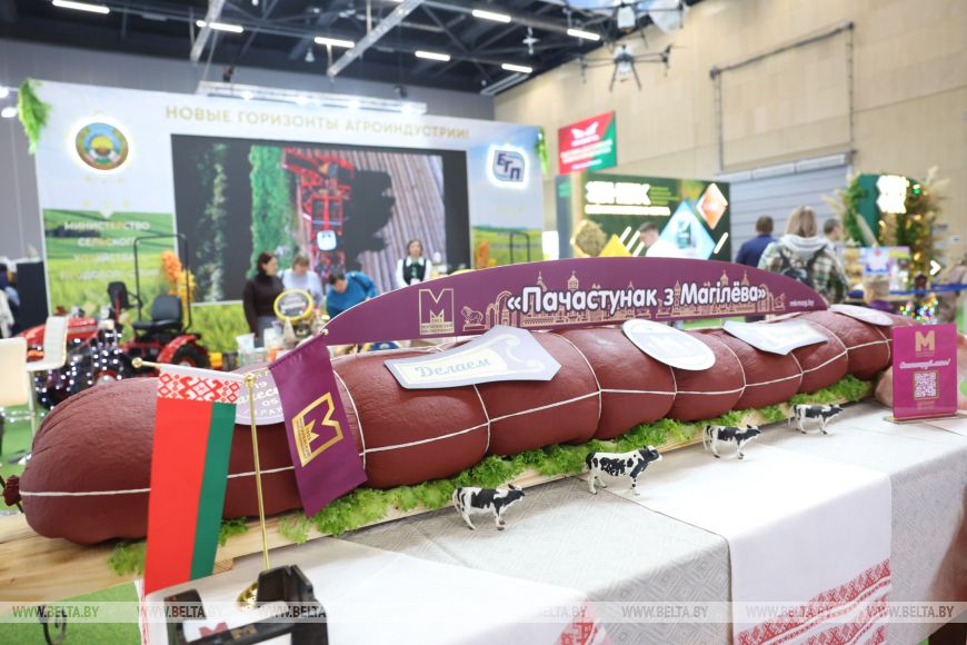 Выставку "Моя Беларусь" посетили уже более 200 тыс. гостей. Почему там стоит побывать?