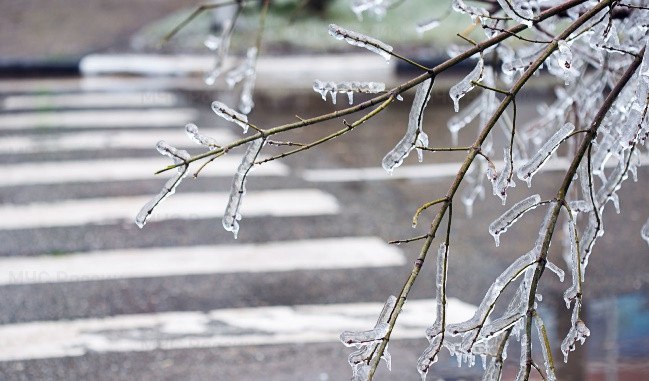 Гололёд и гололедица: в чём разница?