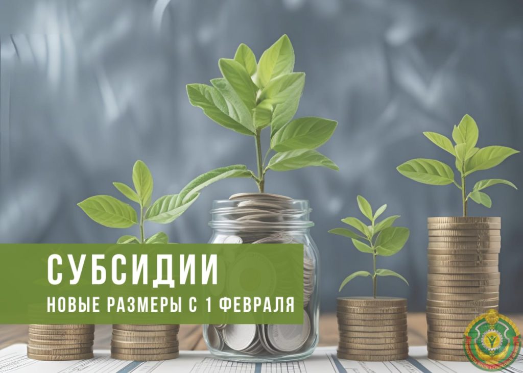 Вырастут субсидии от государства на организацию своего дела