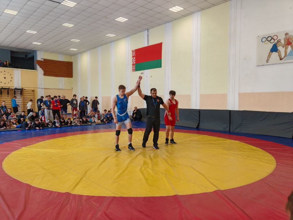 Определены сильнейшие вольники области