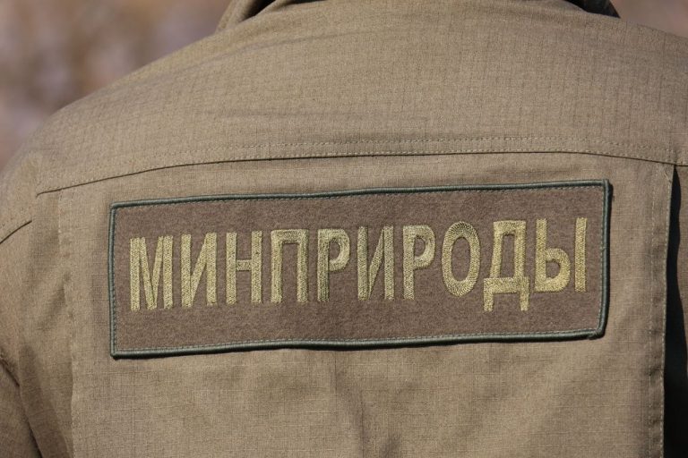 Замор рыбы на озере Погост? Разбираемся в ситуации со специалистами