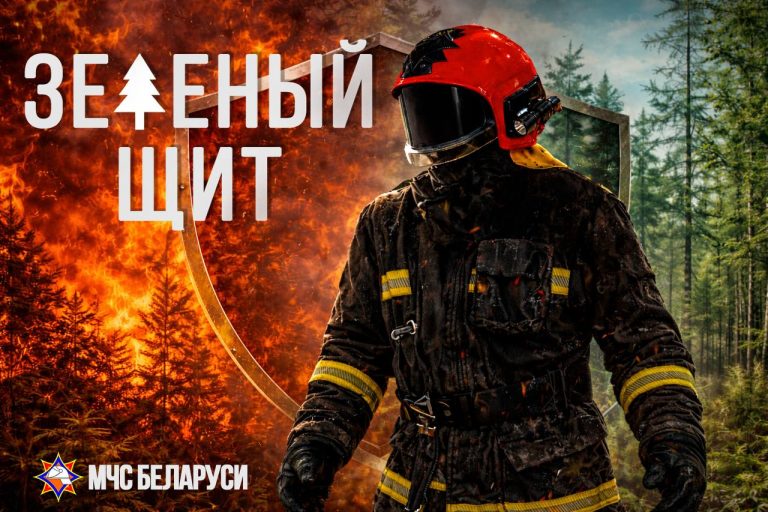 «Зелёный щит» в Пинском районе