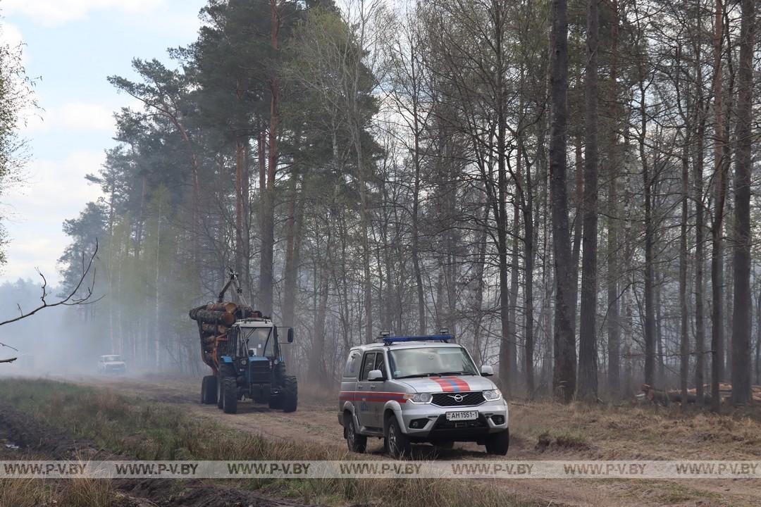 В Сошненском лесничестве Пинского лесхоза продолжается ликвидация крупного пожара