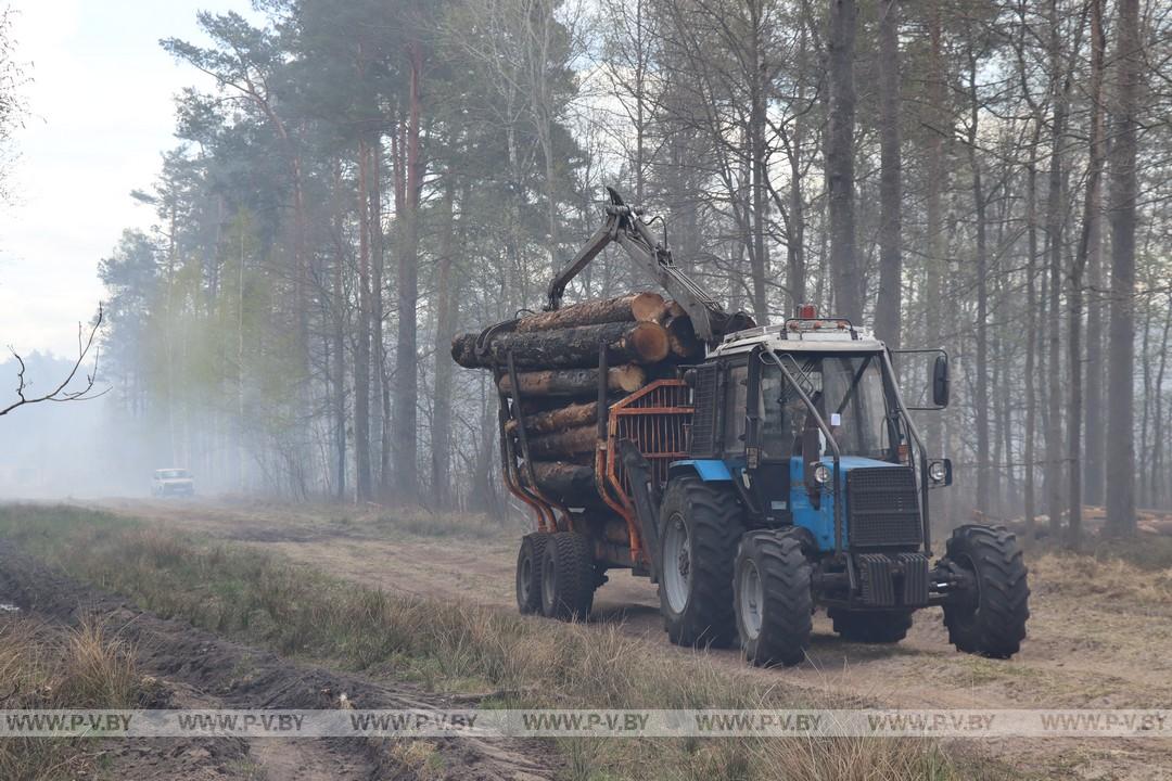 В Сошненском лесничестве Пинского лесхоза продолжается ликвидация крупного пожара