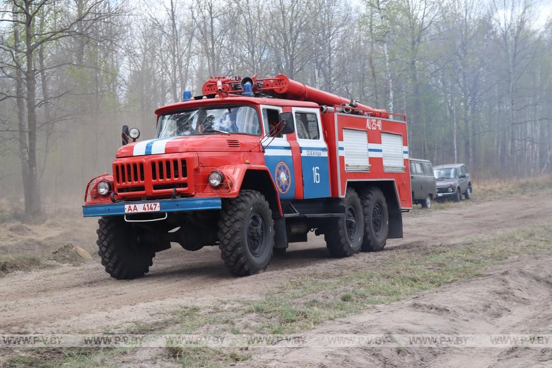 В Сошненском лесничестве Пинского лесхоза продолжается ликвидация крупного пожара