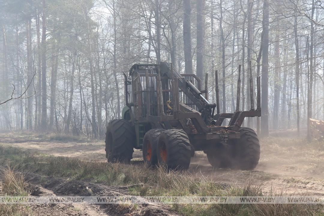 В Сошненском лесничестве Пинского лесхоза продолжается ликвидация крупного пожара