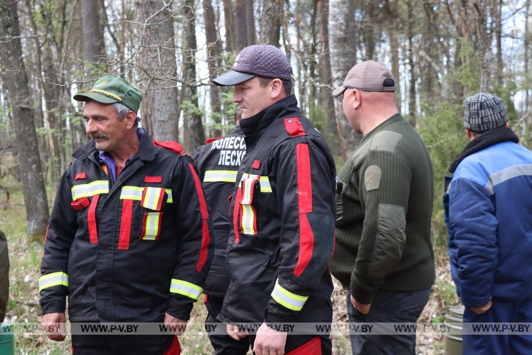 В Сошненском лесничестве Пинского лесхоза продолжается ликвидация крупного пожара