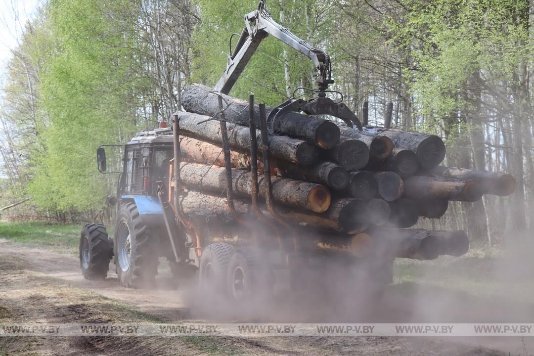 В Сошненском лесничестве Пинского лесхоза продолжается ликвидация крупного пожара