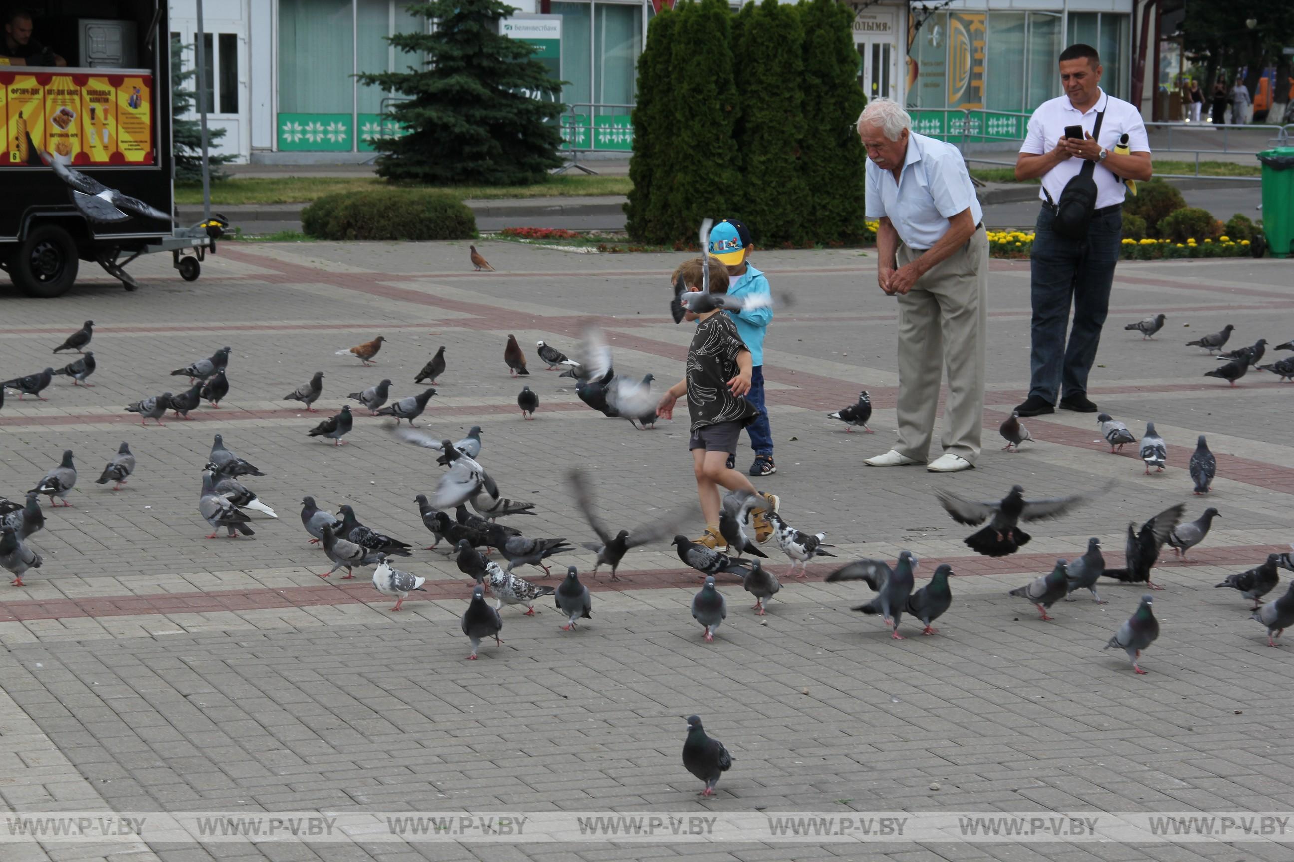 Площадь Ленина: пинчане и гости города уже пришли на праздник