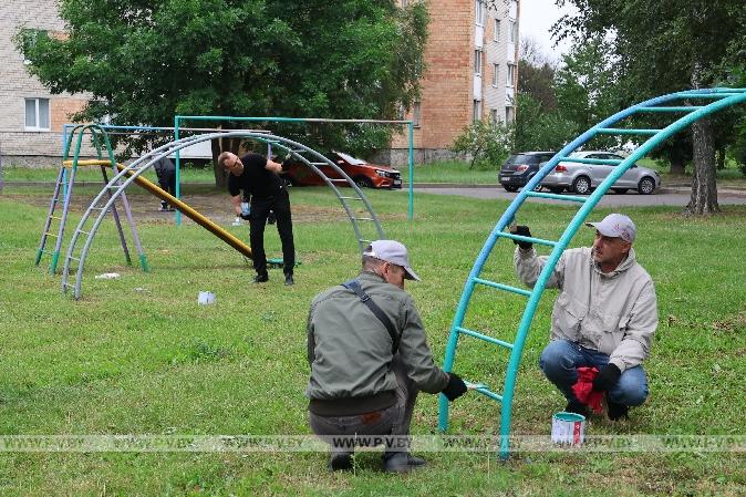 Активисты «Белой Руси» обновили двор в Пинске