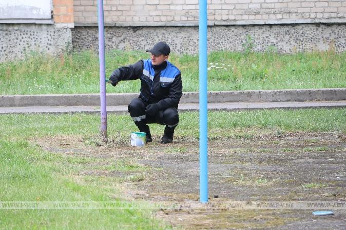 Активисты «Белой Руси» обновили двор в Пинске