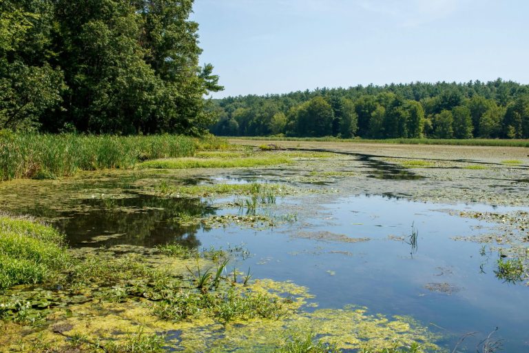 О результатах проверки предприятия мелиоративных систем О результатах проверки предприятия мелиоративных систем