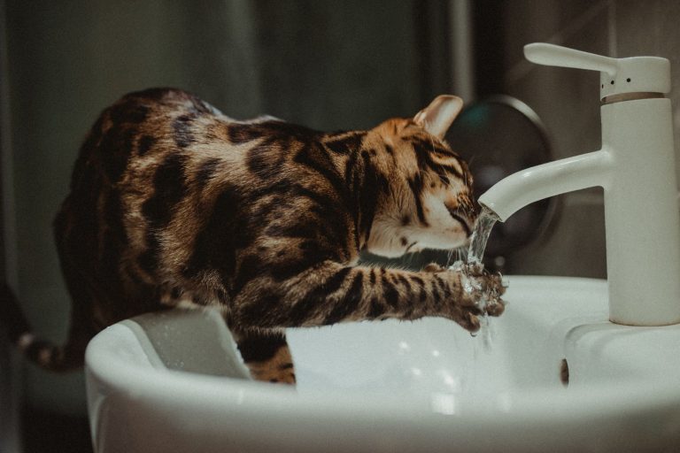 Временно не будет горячей воды