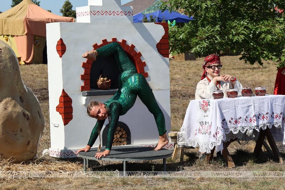 «Кліч Палесся»: Президент и 13 подворий в Лясковичах