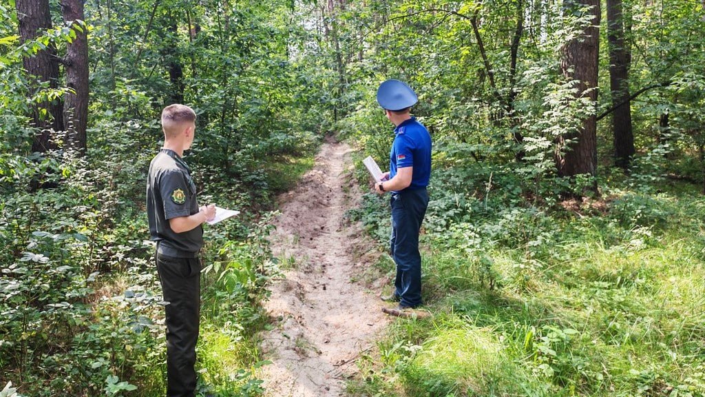 Лесной фонд Пинска патрулируют с помощью дронов