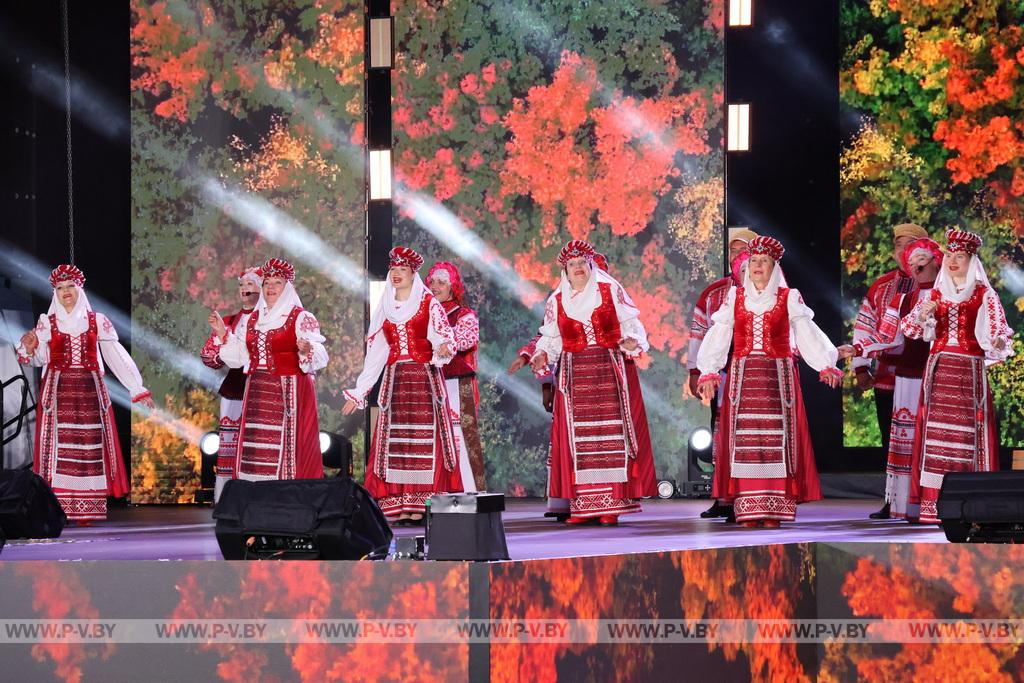 Пинчане присоединились к празднованию Дня народного единства в городе Берёза