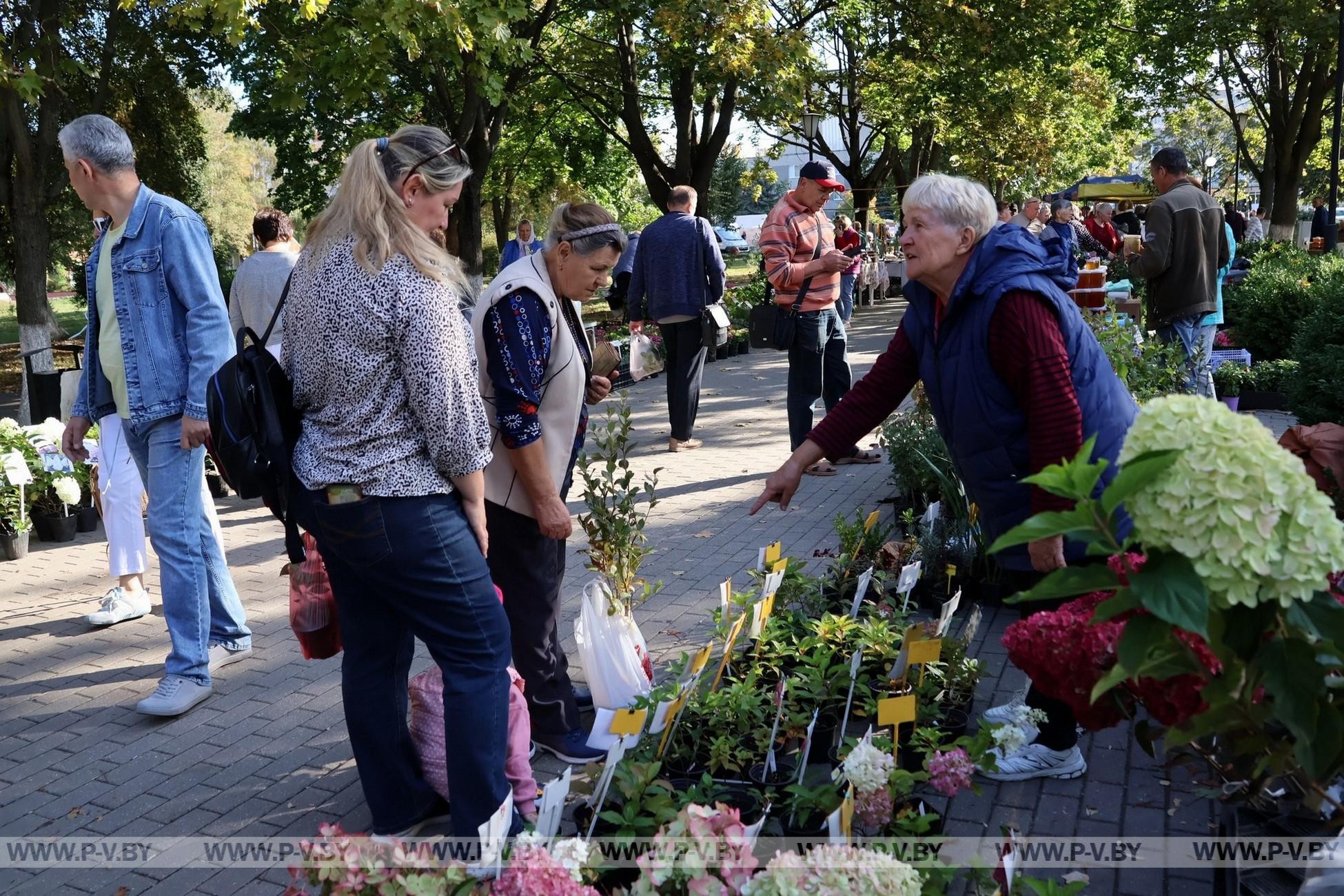 «Янтарная гроздь винограда-2026»: праздник удался на славу
