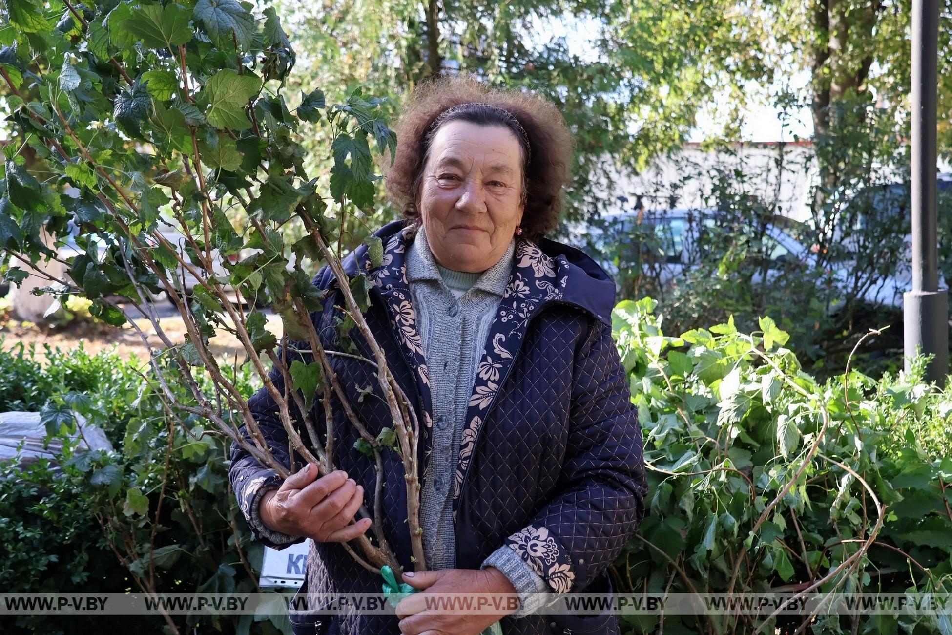 «Янтарная гроздь винограда-2026»: праздник удался на славу