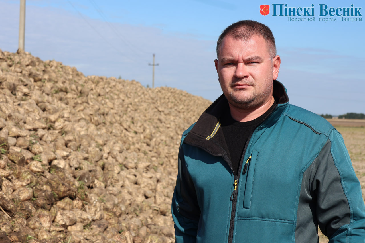 В ОАО «Оснежицкое» идёт уборка «сладкого золота»
