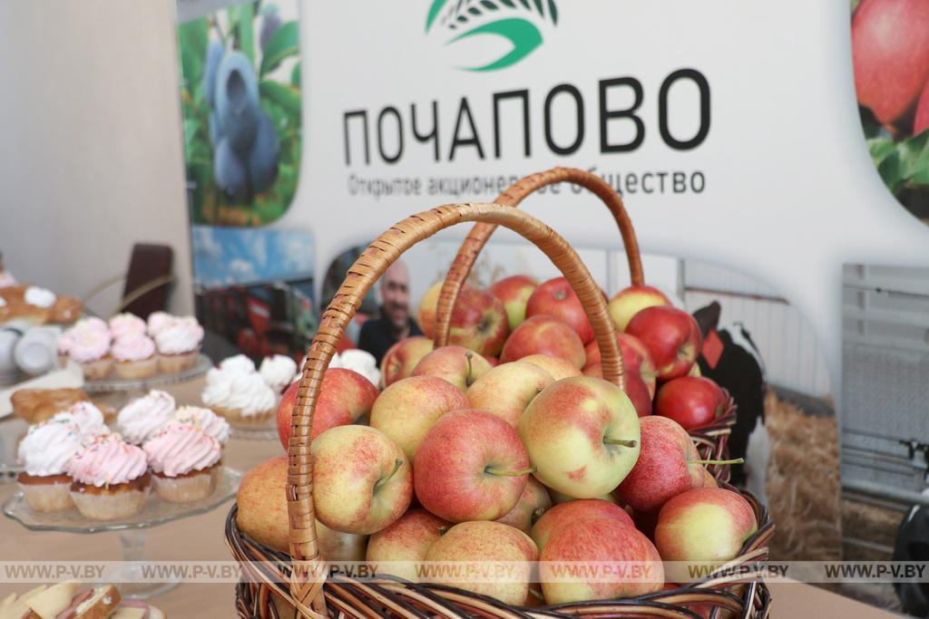 Молодёжь Пинского района получила урок успеха