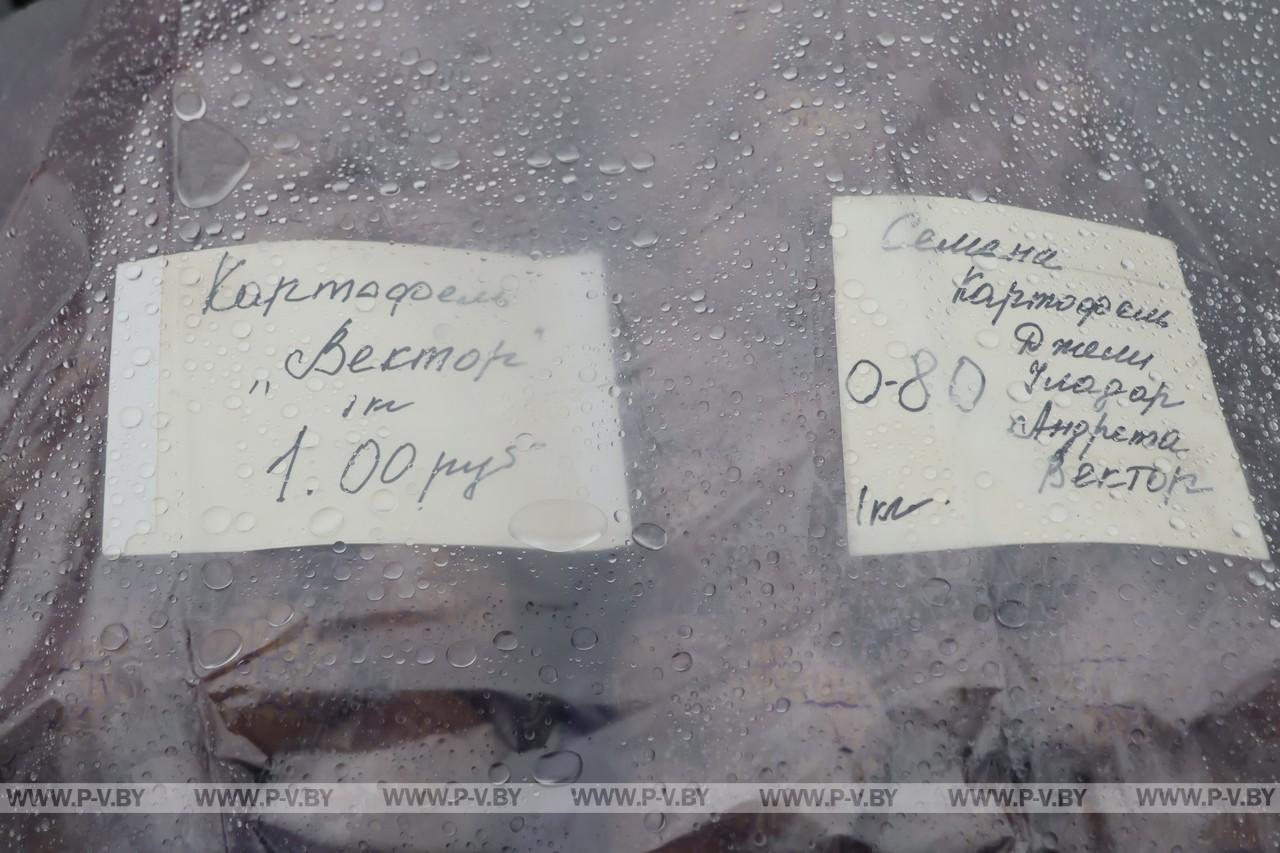 Овощи на зимние заготовки